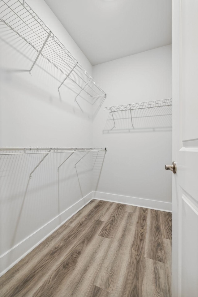 spacious closet featuring wood finished floors