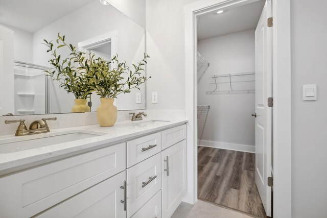 bathroom featuring a walk in closet, double vanity, and a sink