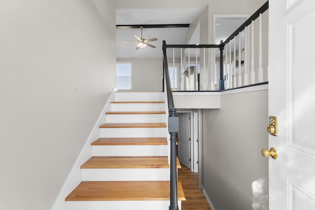 302 Windrush Dr, Clarksville, TN 37042 - staircase with wood finished floors, baseboards, and ceiling fan