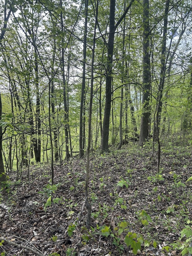 view of landscape featuring a wooded view
