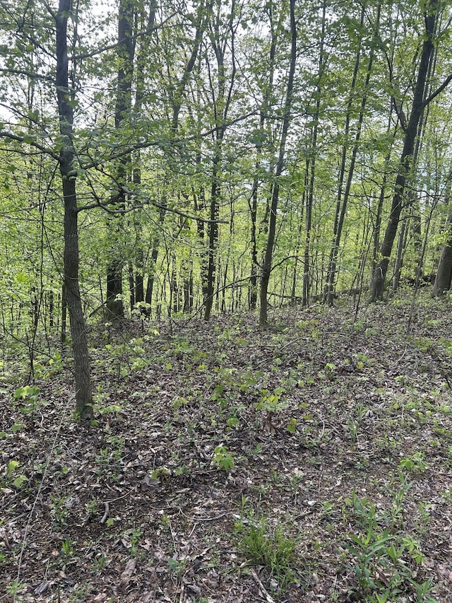 view of local wilderness with a forest view
