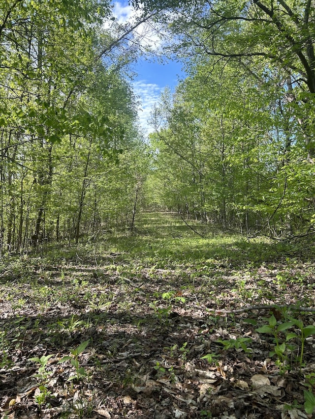 view of landscape
