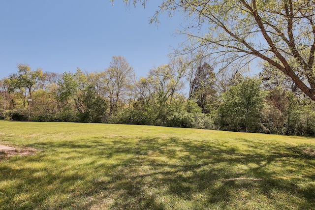 view of yard with a wooded view