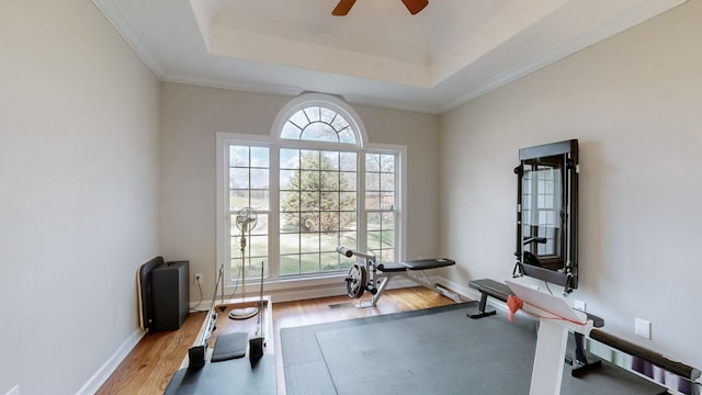 exercise room featuring a tray ceiling, wood finished floors, a ceiling fan, and baseboards