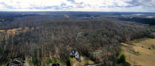 aerial view with a wooded view