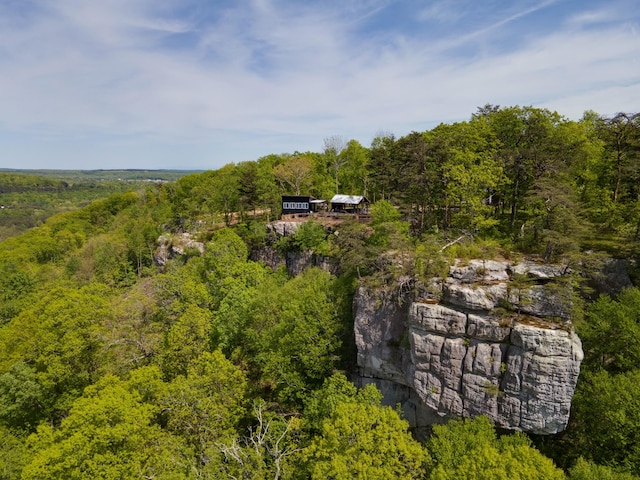birds eye view of property with a view of trees