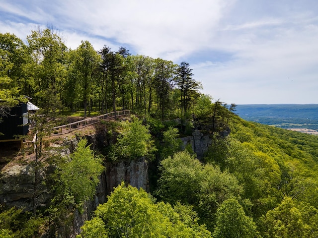 bird's eye view with a forest view