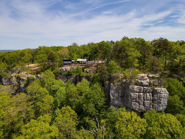 drone / aerial view with a forest view