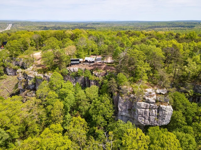 aerial view with a forest view