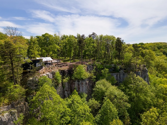 birds eye view of property with a forest view