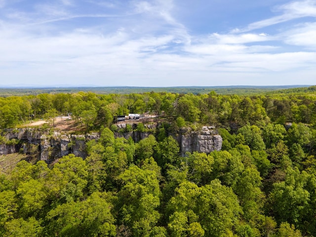 bird's eye view with a forest view