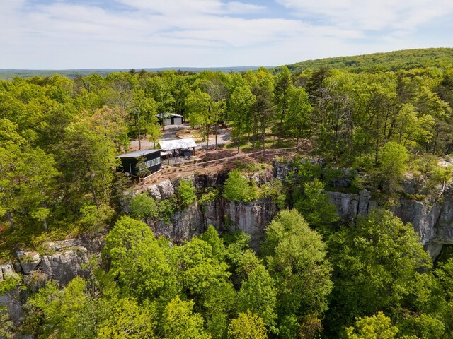 drone / aerial view with a view of trees