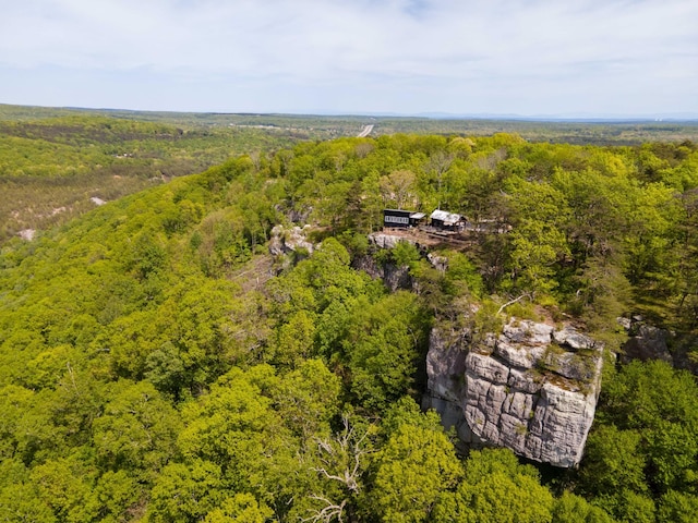 birds eye view of property featuring a wooded view