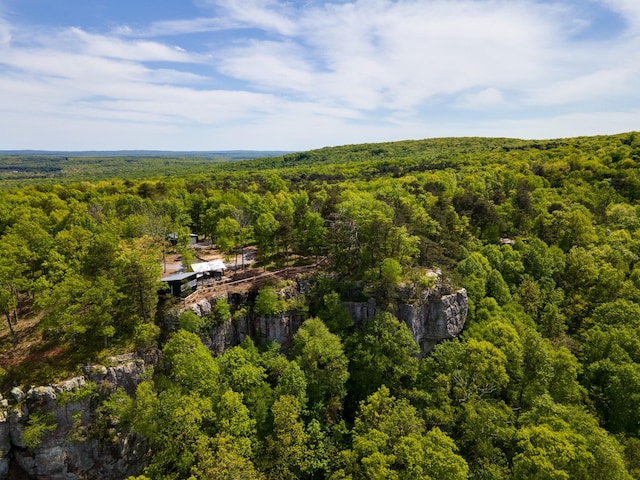 drone / aerial view with a wooded view