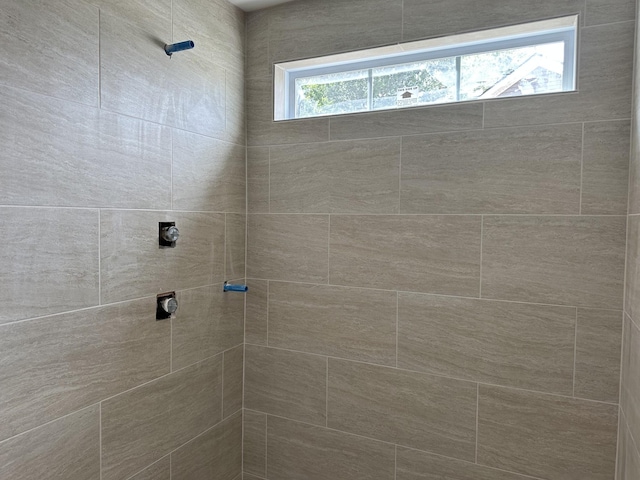 1229 Elizabeth Ln, Clarksville, TN 37042 - full bathroom with a tile shower