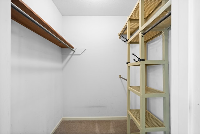 spacious closet featuring carpet flooring