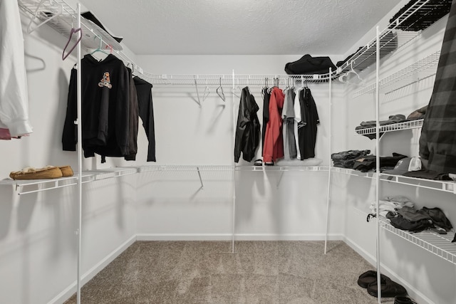 walk in closet with carpet floors
