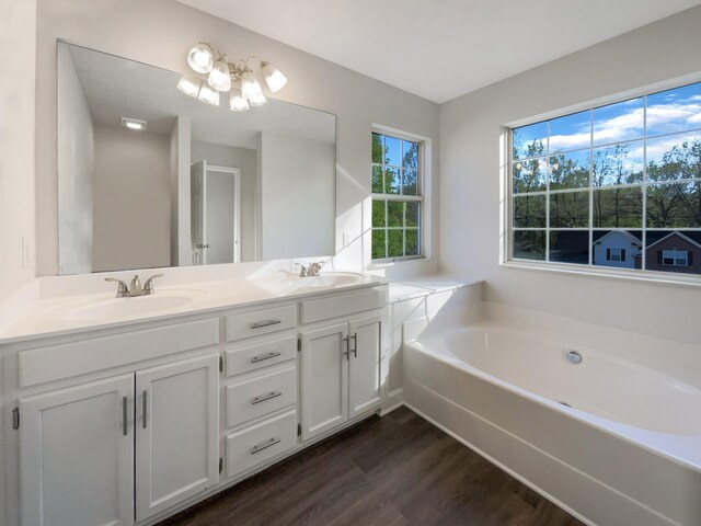 full bath featuring a bath, wood finished floors, a sink, and double vanity