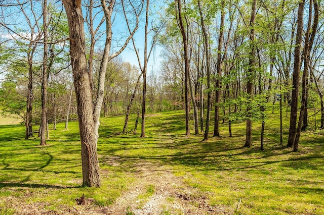 view of landscape