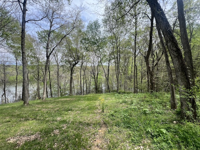 200 Lake Ridge Rd, Scottsville, KY 42164
