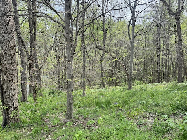 200 Lake Ridge Rd, Scottsville, KY 42164