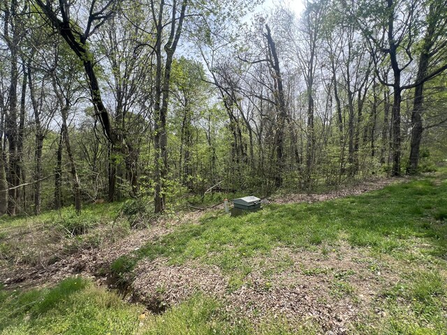 200 Lake Ridge Rd, Scottsville, KY 42164