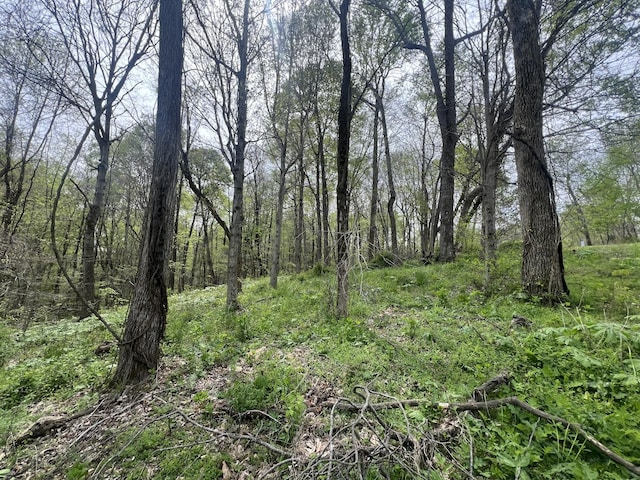 200 Lake Ridge Rd, Scottsville, KY 42164