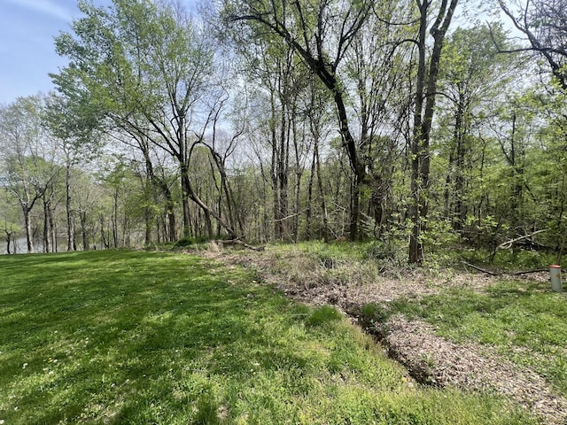 200 Lake Ridge Rd, Scottsville, KY 42164