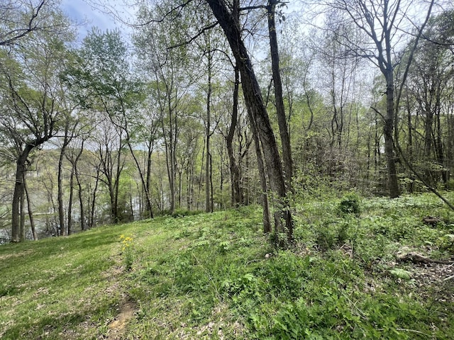 200 Lake Ridge Rd, Scottsville, KY 42164