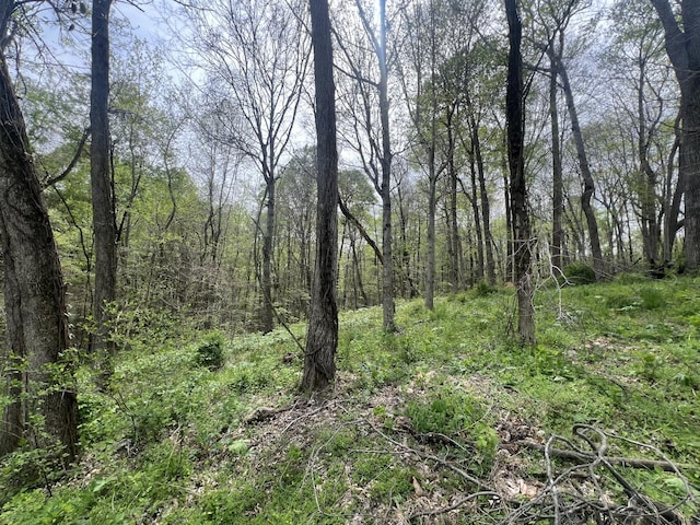 200 Lake Ridge Rd, Scottsville, KY 42164