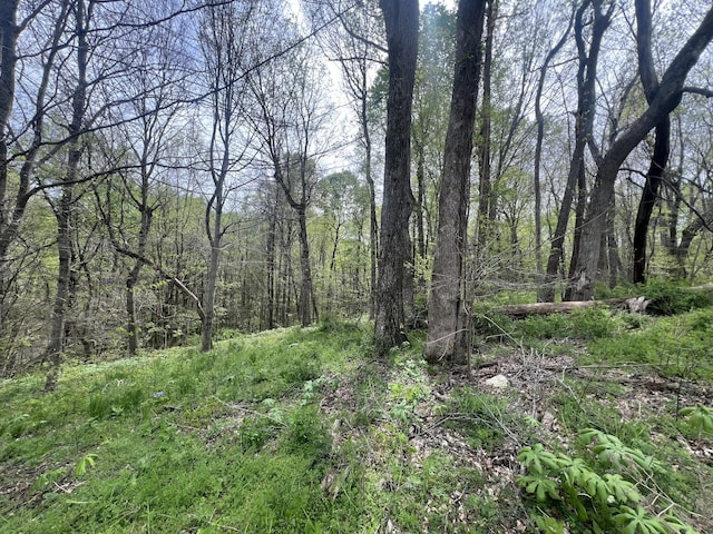 200 Lake Ridge Rd, Scottsville, KY 42164