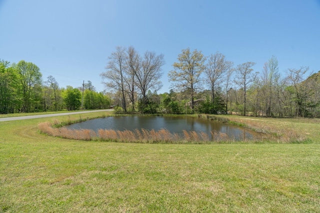 view of water feature with a view of trees