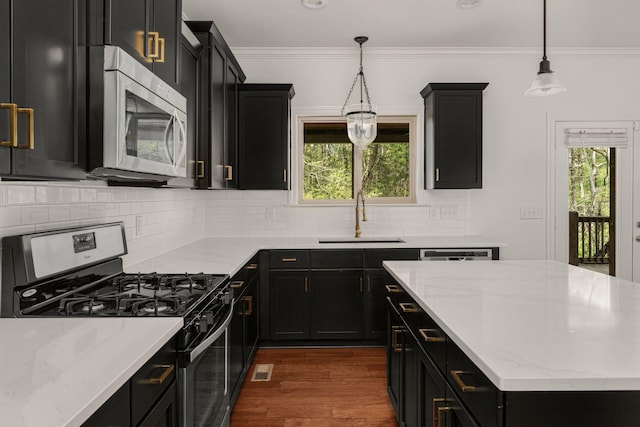 kitchen with dark cabinets, appliances with stainless steel finishes, dark wood-style flooring, and a sink