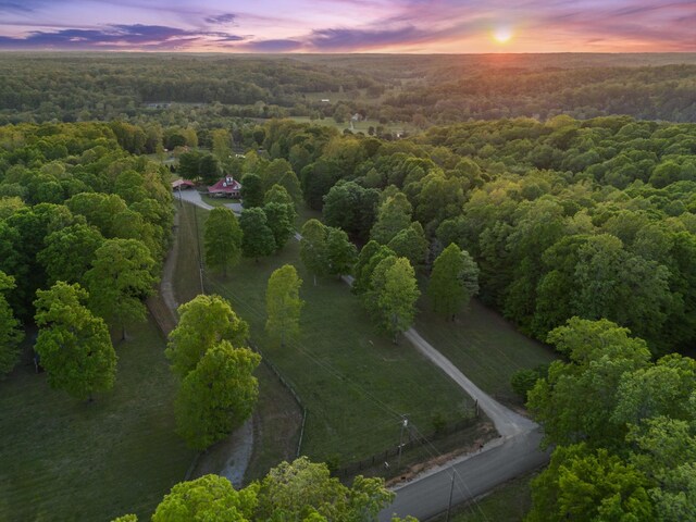 7565 N County Line Rd, Fairview, TN 37062 - aerial view featuring a forest view
