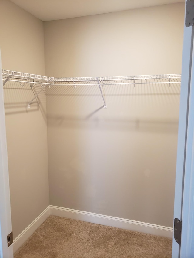 2260 Viking Ct, Murfreesboro, TN 37127 - walk in closet with carpet flooring