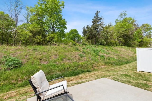 103 Townsend Ave, Shelbyville, TN 37160 - photo 31