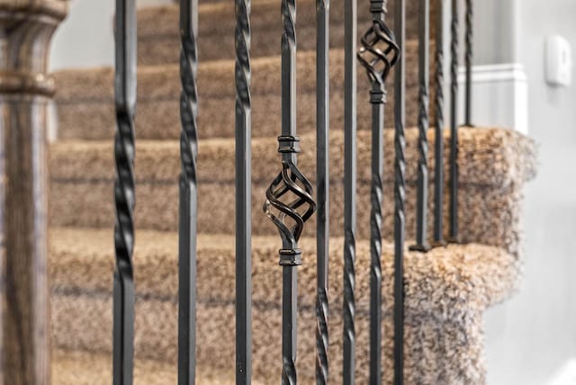 view of details