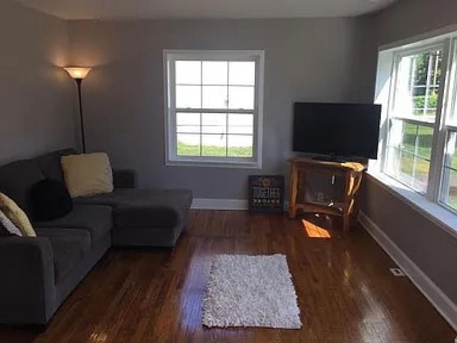 114 Hamblen Ave, Old Hickory, TN 37138 - living room with baseboards, wood finished floors, and plenty of natural light