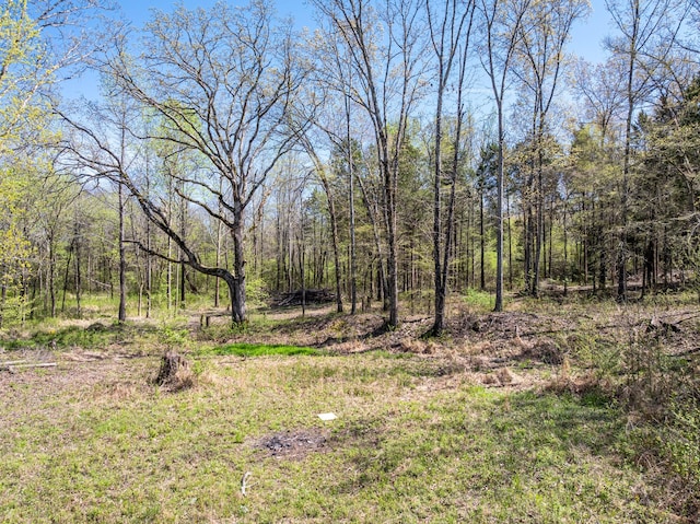 0 Northwood Dr, Huntingdon, TN 38344 - photo 14