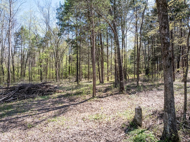 0 Northwood Dr, Huntingdon, TN 38344 - photo 13