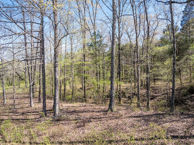 0 Northwood Dr, Huntingdon, TN 38344 - photo 15