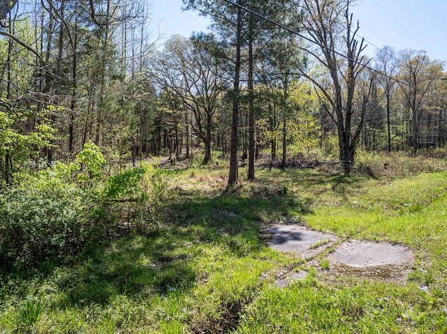 0 Northwood Dr, Huntingdon, TN 38344 - photo 17