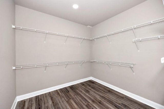 walk in closet featuring dark wood-type flooring
