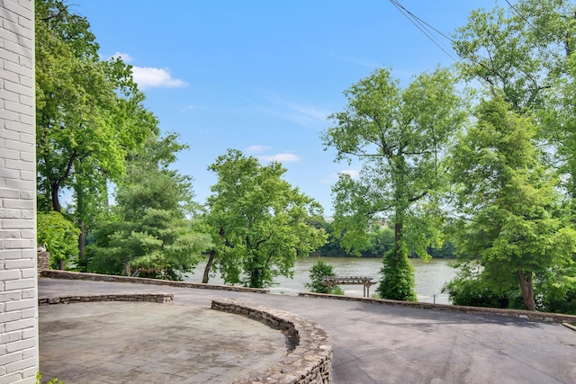 3812 Moss Rose Dr, Nashville, TN 37216 - photo 35