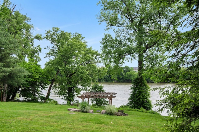 3812 Moss Rose Dr, Nashville, TN 37216 - photo 37