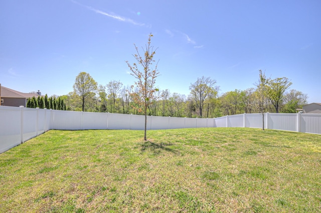 view of yard featuring a fenced backyard