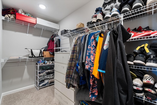 406 Bender Ct, Clarksville, TN 37042 - walk in closet with carpet flooring