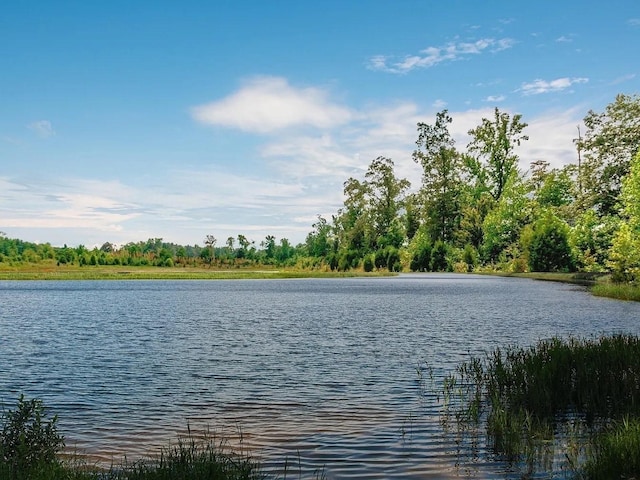 406 Bender Ct, Clarksville, TN 37042 - property view of water
