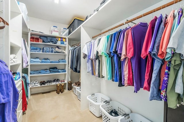 1319 N Plantation Dr, Cookeville, TN 38506 - walk in closet featuring carpet floors