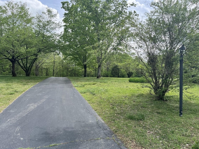 501 Ed Harris Rd, Ashland City, TN 37015 - photo 31
